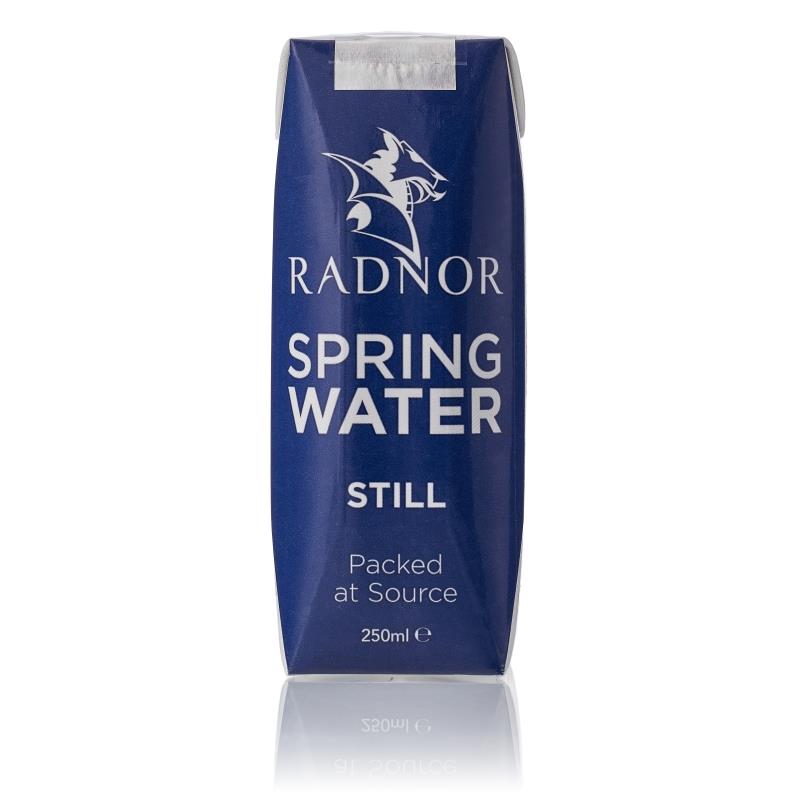 Radnor Still Spring Water Cartons 250ml