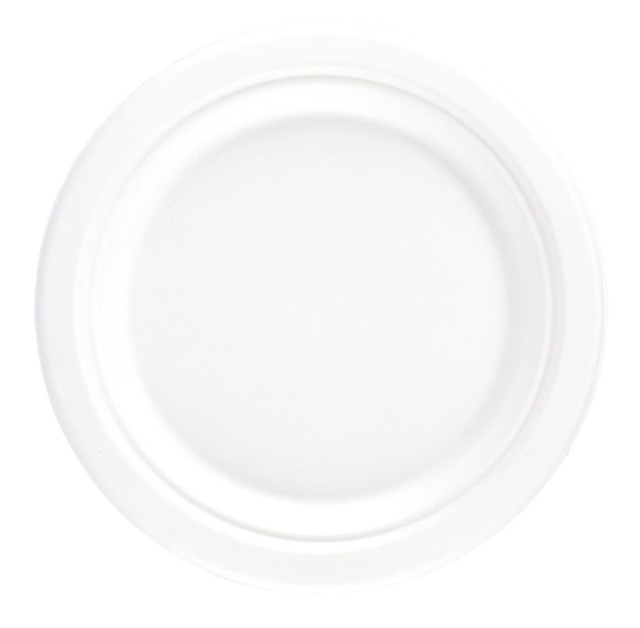 10” Bagasse Round Plate