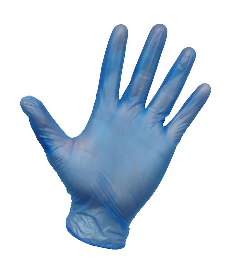 Vinyl Powder Free Gloves - Blue - XL